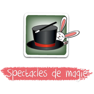 -ecole specialistes du divertissement scolaire icons spectacles de magie